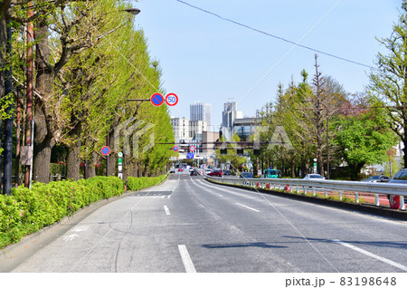 2021年、東京都新宿御苑、四谷の風景 83198648