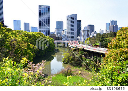 2021年、東京都千代田区紀尾井坂からの弁慶濠の風景 2021年、東京都千代田区紀尾井坂からの弁慶濠の風景 83198656