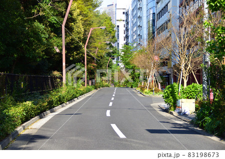 2021年、東京都新宿御苑、四谷の風景 83198673