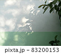 Copy space on the wall, tree shade. 83200153