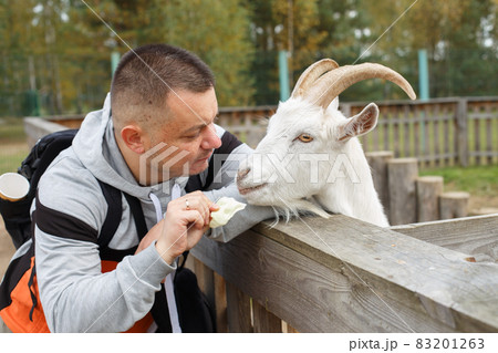 a man feeding an apple to a goat in the zoo 83201263