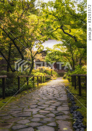 山形県鶴岡市　羽黒山五重塔 83203372