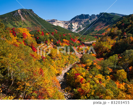 十勝岳温泉の紅葉 十勝岳温泉の紅葉 83203455