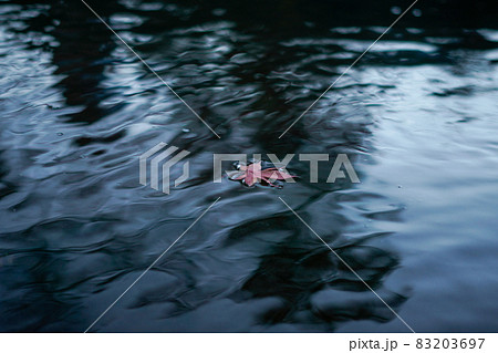 水辺の紅葉 83203697