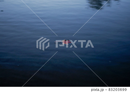 水辺の紅葉 83203699