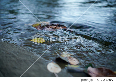 水辺の紅葉 水辺の紅葉 83203705