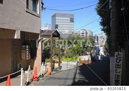 10月　港区1199蜀江坂･白金台四丁目 83203823