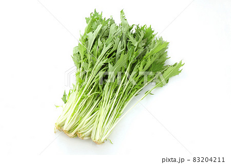 みず菜 みず菜 83204211