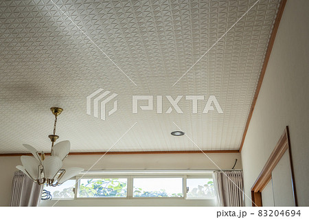 部屋の天井の様子 部屋の天井の様子 83204694