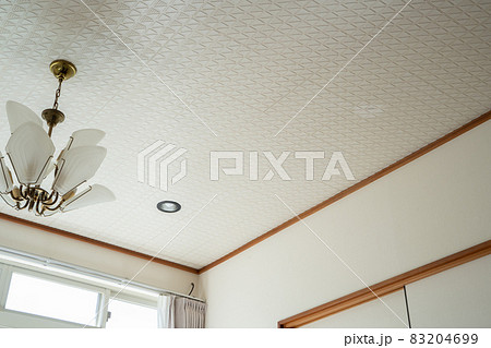部屋の天井の様子 部屋の天井の様子 83204699