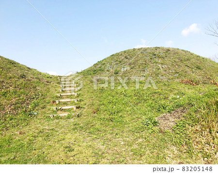 古墳のイメージ　新沢千塚古墳 83205148