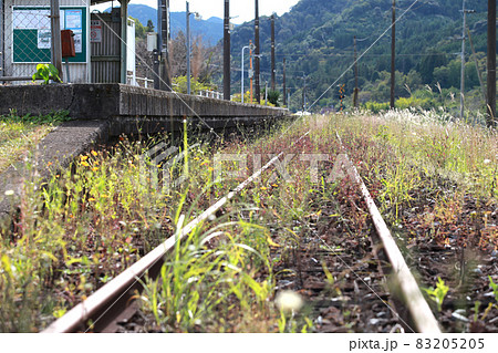 災害や赤字によって廃線になった線路 災害や赤字によって廃線になった線路 83205205