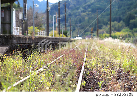 災害や赤字によって廃線になった線路 災害や赤字によって廃線になった線路 83205209