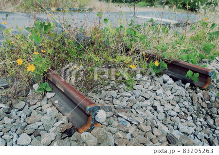 災害や赤字によって廃線になった線路 災害や赤字によって廃線になった線路 83205263