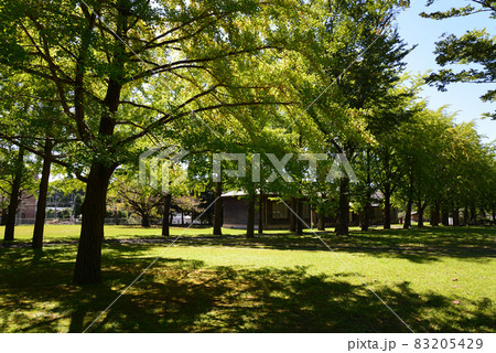 茨城県立歴史館へ行きました　＃21 83205429