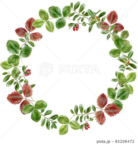 Round frame of green and red strawberry leaves Round frame of green and red strawberry leaves 83206472