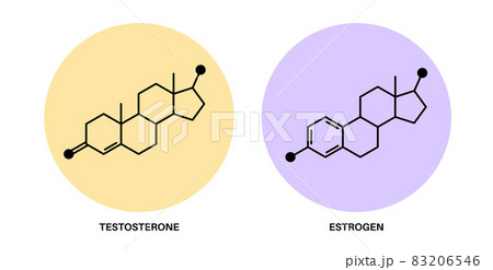 Testosterone and estrogen Testosterone and estrogen 83206546