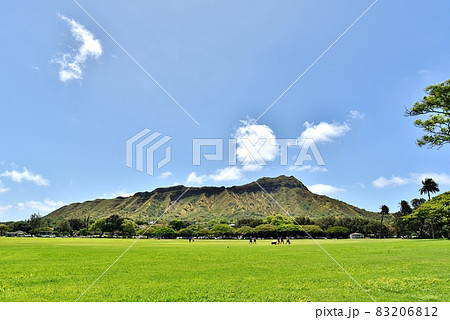 ハワイの休日 83206812