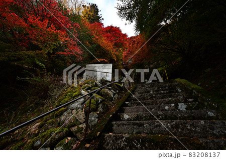 青倉神社の紅葉 青倉神社の紅葉 83208137