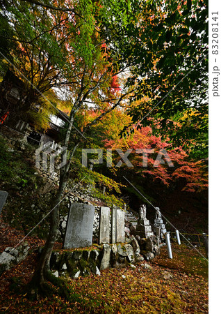 青倉神社の紅葉 83208141
