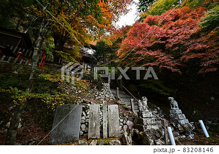 青倉神社の紅葉 青倉神社の紅葉 83208146