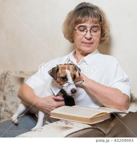 Elderly caucasian woman reading a book with a smart dog jack russell terrier wearing glasses and a tie on the sofa 83209003