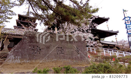 奈良法隆寺の桜 83209773