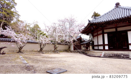 奈良法隆寺の桜 83209775