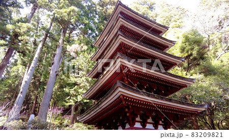 奈良室生寺の桜 奈良室生寺の桜 83209821