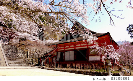 奈良談山神社の桜 83209891