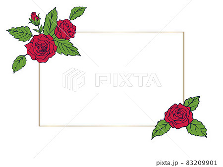 薔薇の花を装飾したデザイン用のフレーム素材 赤い花と金色の線のイラスト素材 9901