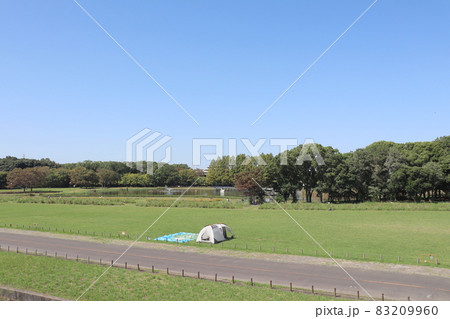 庄内緑地公園(愛知県名古屋市西区) 庄内緑地公園(愛知県名古屋市西区) 83209960