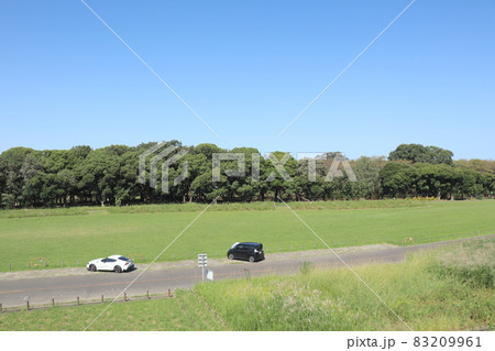庄内緑地公園(愛知県名古屋市西区) 庄内緑地公園(愛知県名古屋市西区) 83209961