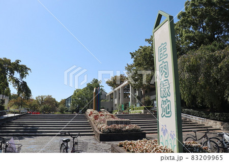 庄内緑地公園（愛知県名古屋市西区） 83209965