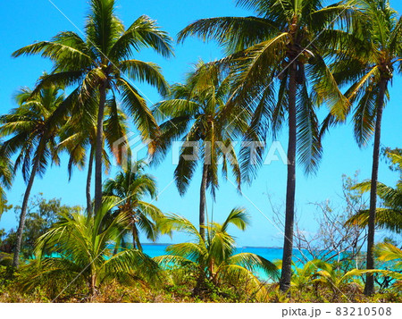 ニューカレドニア、ウベア島の風景 ニューカレドニア、ウベア島の風景 83210508