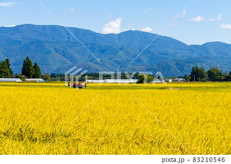 ドローン 農業 活用イメージ 秋の田園風景 ドローン 農業 活用イメージ 秋の田園風景 83210546