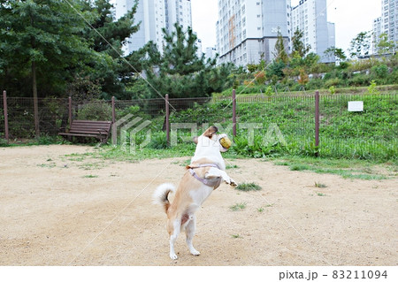 犬 子犬 本 83211094