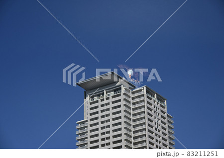 ビル屋上のタカ 83211251