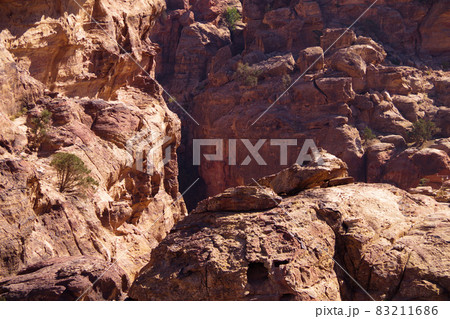 ヨルダン　ペトラ遺跡　渓谷　世界遺産 83211686
