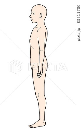 人体図の側面 83211706