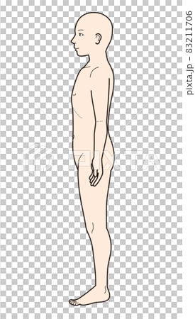 人体図の側面 83211706