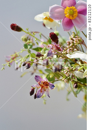 秋の草花のアレンジメント 秋の草花のアレンジメント 83212110