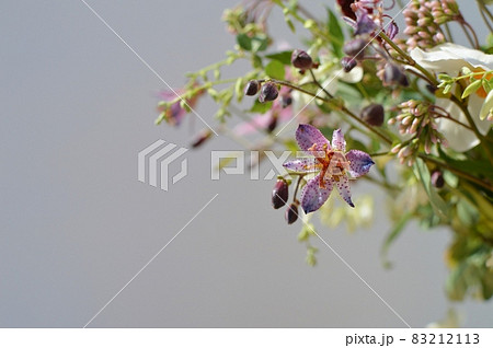 秋の草花のアレンジメント　　　　　　　 83212113