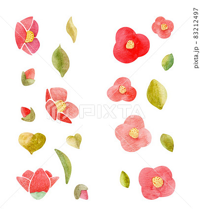 watercolor set snow camellia, tsubaki set hand-drawn watercolor set snow camellia, tsubaki set hand-drawn 83212497