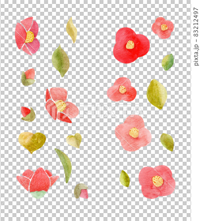 watercolor set snow camellia, tsubaki set hand-drawn watercolor set snow camellia, tsubaki set hand-drawn 83212497