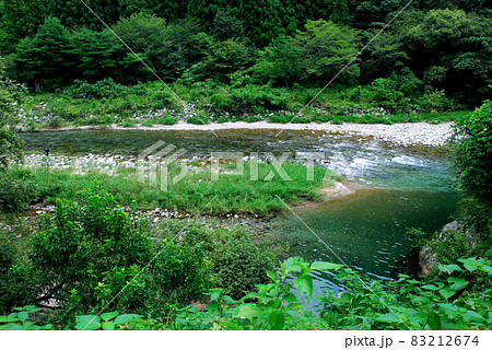 水が綺麗で人気のある大千瀬川、浦川のアユ釣り 83212674