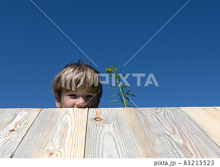 face of little european boy looking from wooden boards and holding plant on blue sky background. Playing hide-and-seek 83213523