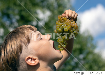 little boy eating green grapes on sunny summer morning on green nature background. 83213524