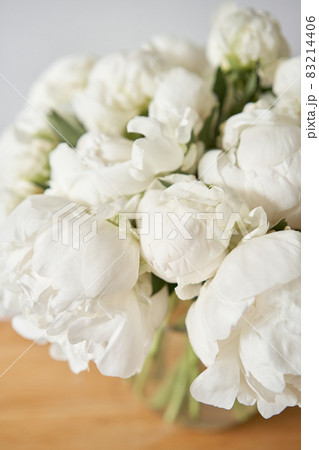 White peonies in a glass vase. Beautiful peony flower for catalog or online store. Floral shop concept . Beautiful fresh cut bouquet. Flowers delivery White peonies in a glass vase. Beautiful peony flower for catalog or online store. Floral shop concept . Beautiful fresh cut bouquet. Flowers delivery 83214406