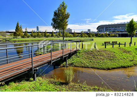 新横浜公園より新横浜駅方面を望む(神奈川県横浜市)【2021.10】 83214828